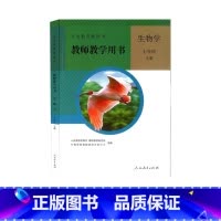 生物学 七年级上册 初中通用 [正版]可单选人教版生物学教师用书78年级上下册全4册初中二三年级七八年级上下册教参教师教