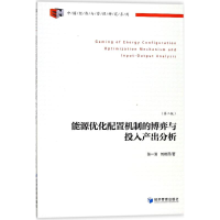 音像能源优化配置的博弈与投入产出分析张一清,刘晓燕 著