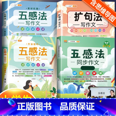 五感法同步作文+扩句法+素材累积+方法技巧 小学二年级 [正版]斗半匠五感法写作文三到六年级同步作文全套小学语文一年级二