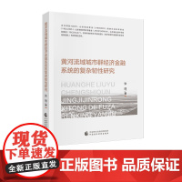 黄河流域城市群经济金融系统的复杂韧性研究
