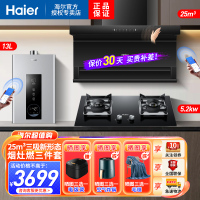 海尔(Haier)抽油烟机25m³顶侧三吸5.2KW燃气灶13升热水器天然气烟灶热套装EC725+Q2BE5+13PD3