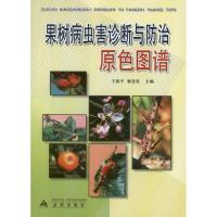 正版新书]果树病虫害诊断与防治原色图谱王国平9787508220123