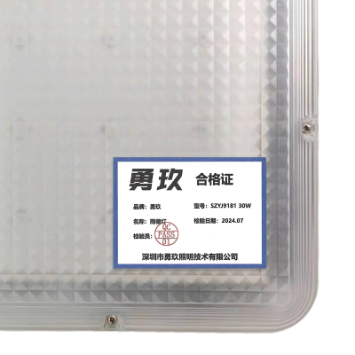 勇玖(LIGHTFOREVER) 雨棚灯 SZYJ9181 30W(套)