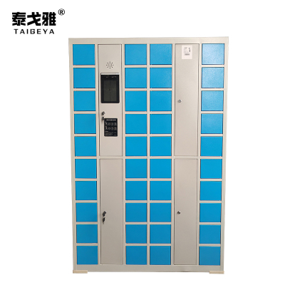 泰戈雅 人脸识别充电柜 40门 台