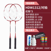 Hodtown 何大屋经典羽毛球拍HDW1312