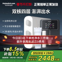 汉斯顿/Hunsdon家用0阻垢剂净水器管线机套装厨下式净饮机RO反渗透净水机过滤器母婴直饮厨房纯水机D3