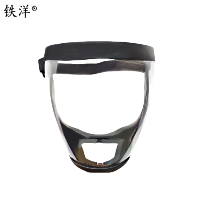 铁洋 呼吸防护面罩 TY-HX011 个