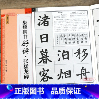 [正版]学海轩 集魏碑书好诗张猛龙碑集字古诗书法考试 技法讲解 书写创意 诗歌 主题 书法范字 作品幅式 创作魏碑楷书