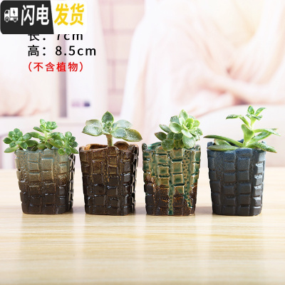 三维工匠透气大号陶瓷多肉植物老桩肉肉花盆家用粗陶吸水简约创意小花盆栽 K8一套四个 中等花盆容器
