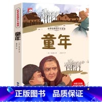 童年(选4本29.8元) [正版]谜语大全三百首三百则注音版 儿童猜谜语的书精选小学生一年级阅读课外书籍二年级3-6-7
