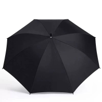 江小果雨伞 J-1672 把