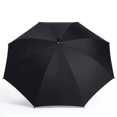 江小果雨伞 J-1672 把