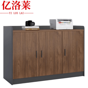 亿洛莱 文件柜 120*40*80cm 个