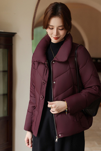 新款妈妈中老年休闲外套40-50岁中年装保暖棉服女60岁年冬装