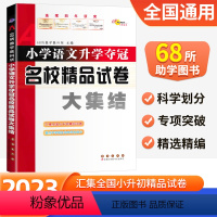 语文 小学升初中 [正版]2024版68所小学升学夺冠名校精品试卷大集结语文人教版小学生六年级上册下册升初中复习资料小升