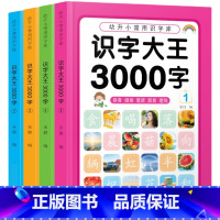 识字大王3000字 全4册 [正版]儿童看图识字大王1600到3000字幼儿园宝宝早教启蒙认知童书幼儿认字书籍绘本228