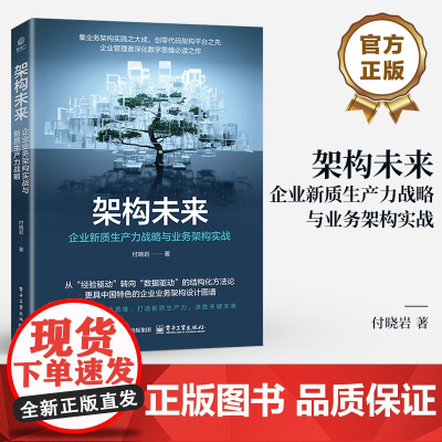 店 架构未来 企业新质生产力战略与业务架构实战 业务架构技术识别分析 优化业务流程 业务架构技术实现转型升级书籍