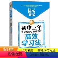 状元笔记初中生版 初中通用 [正版]状元笔记 初中生版 学霸笔记初中 初中课外阅读 中考 初中三年快速提高学习成绩的高