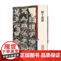 鲜于璜碑 孙宝文 著 书法