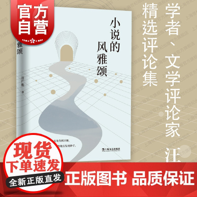 小说的风雅颂 上海文艺出版社