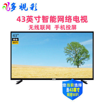 多視彩(DUOSHICAI)43英寸网络版高清超窄LED高清液晶