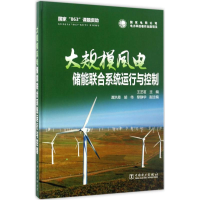 音像大规模风电储能联合系统运行与控制王芝茗 主编