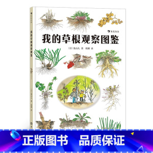 新书后浪正版 我的草根观察图鉴 激发孩子自然观察兴趣的入门指南 自然观察 自然科普书籍 [正版]新书 我的草根观察图鉴