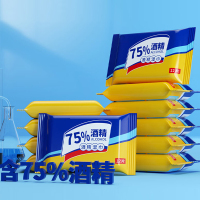 百晟长恒 BSCH-C33GS 12片/包 湿巾纸片(计价单位:包)