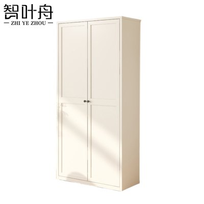 智叶舟钢制储物柜两门800*350*2000mm台