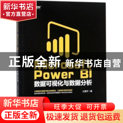 正版 Microsoft Power BI数据可视化与数据分析 王国平著 电子工