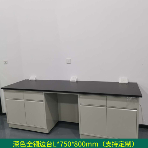 文灵全钢实验台钢木PP边台柜试验台化验室工作台实验室桌操作台定制(每米单价)[工厂现做 7天内发货]