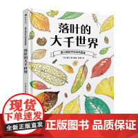 浪花朵朵正版 盛口满的手绘自然图鉴落叶的大千世界 7-10岁 落叶植物 日本童书研究会 科普百科绘本