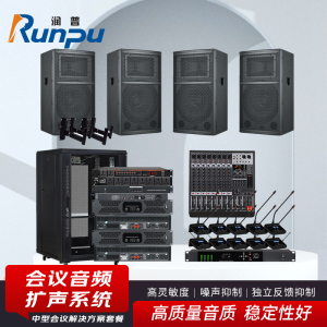 润普Runpu 会议音频扩声系统 无线手拉手套装音箱功放调音台反馈中型会议解决方案套餐RP-WXKSD840