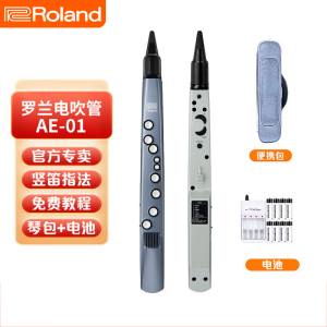 Roland罗兰AE01电吹管新型电子萨克斯初学者成人老年人电子管乐