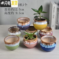 三维工匠陶瓷花盆多肉绿萝吊兰盆栽 家用阳台室内创意 经典款-随机1个 中等花盆容器