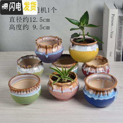 三维工匠陶瓷花盆多肉绿萝吊兰盆栽 家用阳台室内创意 经典款-随机1个 中等花盆容器