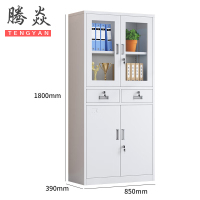 腾焱文件柜二斗台