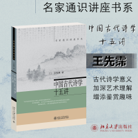 音像中国古代诗学十五讲王先霈