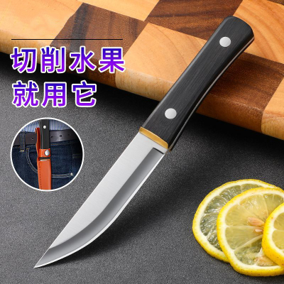 水果刀家用不锈钢瓜果刀随身便携水果削皮刀学生宿舍用锋利切水果7163