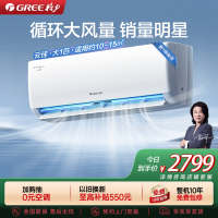 [格力官方旗舰店]云佳新能效大1匹变频空调挂机 KFR-26GW/NhGd1B 冷暖家用低音 新一级能效