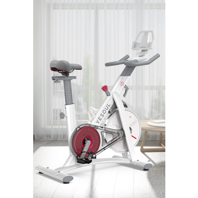 YESOUL野小兽动感单车家用运动健身房器材室内磁控健身车S1S1-雅典白-标准版