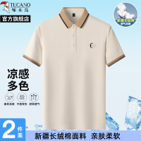 啄木鸟珠地棉短袖t恤男2025夏季新款翻领爸爸POLO衫休闲宽松上衣H