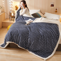 A类2.9kg双层毛毯200*230cm