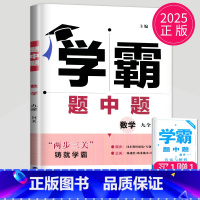 数学 九年级全一册 沪科版 九年级/初中三年级 [正版]2025学霸题中题九年级下册上册数学物理英语化学苏科版译林版苏教