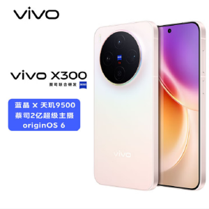 vivo X300 幸运彩 12GB+512GB 蓝晶×天玑9500芯 大电池 90W快充 支持无线充电 蔡司超级潜望长焦 拍照 AI手机