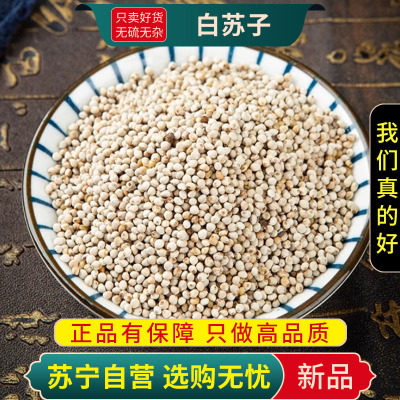 白苏子100克干货新货泡水泡茶紫苏子籽新货正品生另售莱菔子白芥子