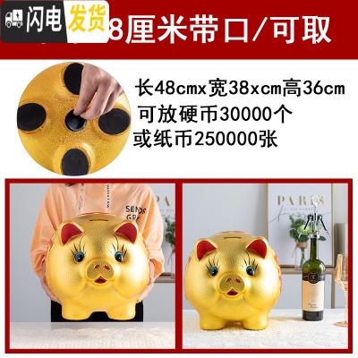 三维工匠储蓄储钱小猪创意不可取大人用家用儿童只进不出大容量 单个长48厘米[可取款]储蓄罐