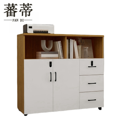 蕃蒂文件柜二门三抽台