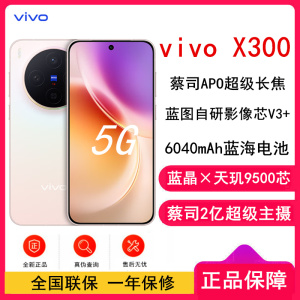 [全新]vivo X300 幸运彩 12GB+512GB 蓝晶×天玑9500芯 大电池 90W快充 支持无线充电 蔡司超级潜望长焦 拍照 AI手机