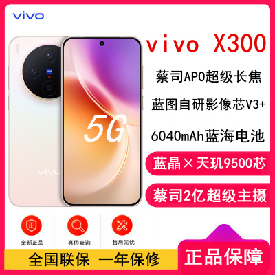 [全新]vivo X300 幸运彩 12GB+512GB 蓝晶×天玑9500芯 大电池 90W快充 支持无线充电 蔡司超级潜望长焦 拍照 AI手机